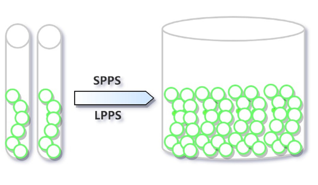 Large Scale Peptide Synthesis