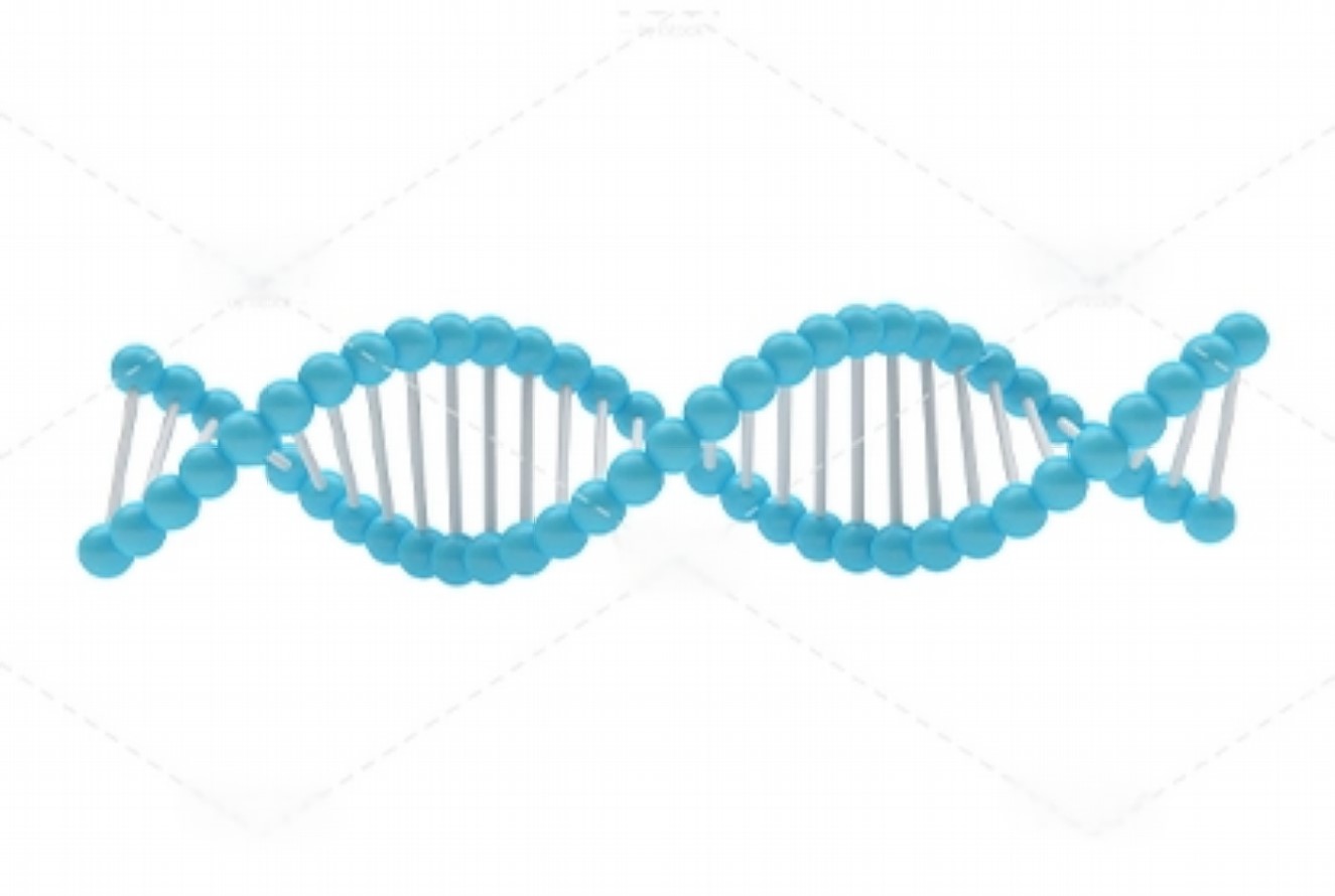 Peptide Nucleic Acid Synthesis