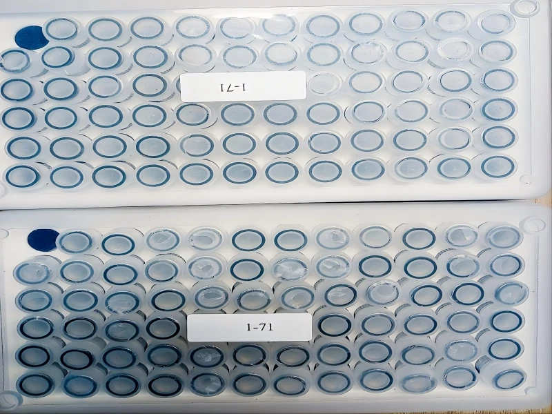 TB Vaccine-Vial Rack