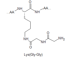 product-265-234