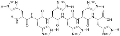 6×His Peptide