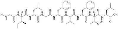 Matrix Protein M1 (58-66) (Influenza A Virus)