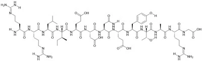 Pp60(v-SRC) Autophosphorylation Site, Protein Tyrosine Kinase Substrate