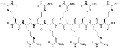 R9 Peptide