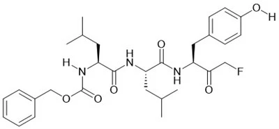Z-LLY-FMK CAS 133410-84-1
